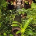 guns_japanese_nusalavu_v_0705_2395.jpg